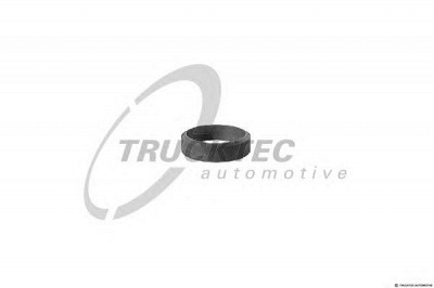 TRUCKTEC AUTOMOTIVE 0239089 -  Уплотнительное кольцо, труба выхлопного газа